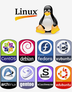 os-choices